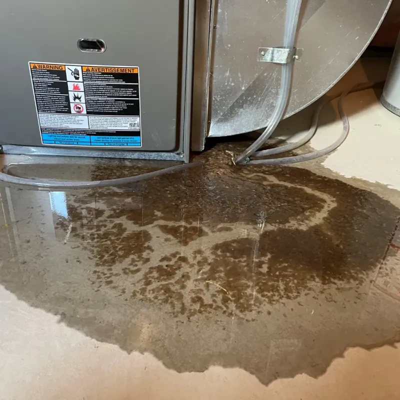 Appliance Leak Cleanup in Havana, FL